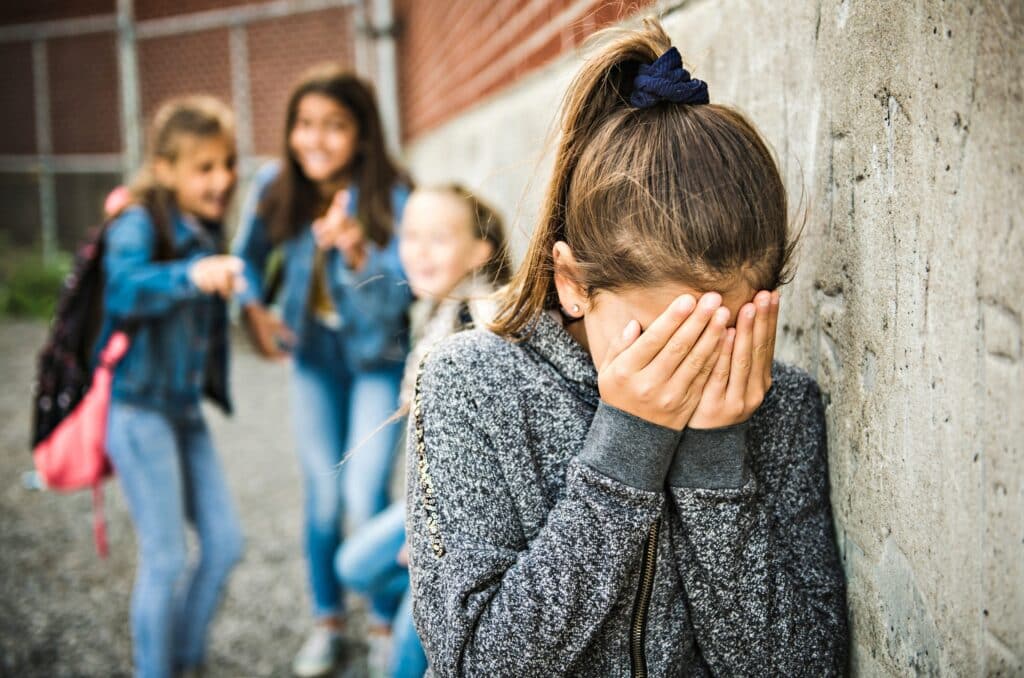 The Problem of Bullying in Schools