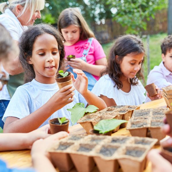 A group of children engage in planting activities, holding small pots.